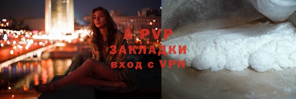 СК Абинск