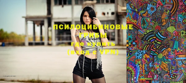 МДПВ Абаза